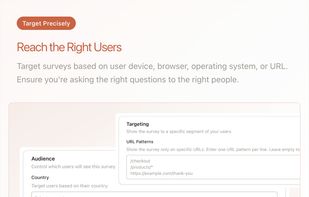 Target the right audience with right surveys