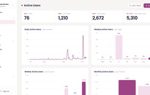 User Analysis