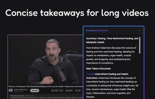 Punchlite screenshot 1