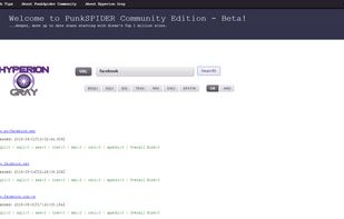 PunkSPIDER screenshot 2