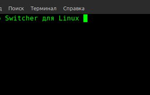 Punto Switcher for Linux screenshot 1