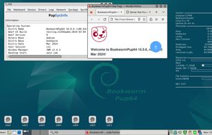 Puppy Linux screenshot 1