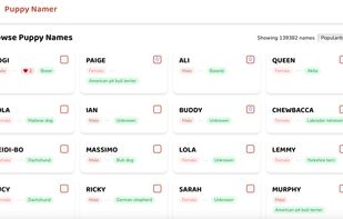 Puppy namer screenshot 2