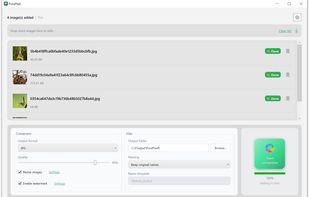 Batch Export with High-Speed Multi-Thread Processing