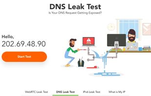 PureVPN - WebRTC Leak Test screenshot 1