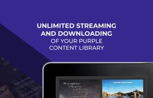 Purple.is screenshot 1