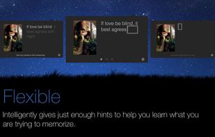 Purrfect Memory screenshot 1