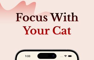 Cute cat companion by your side during focus session