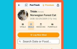 The meal logging interface for recording specific foods, portions, and caloric intake.