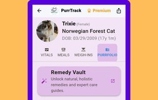 The Remedy Vault and PurrFolio for securely storing health notes, vet documents, and holistic care guides for natural supplements like slippery elm bark, marshmallow root, and bovine colostrum.