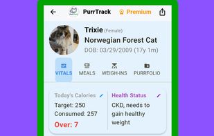 The primary profile dashboard displaying daily calorie goals and long-term weight trend analysis for Trixie.