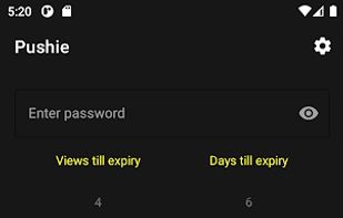 Pushie screenshot 1