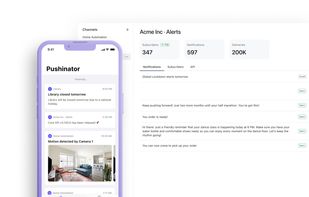 Pushinator screenshot 1