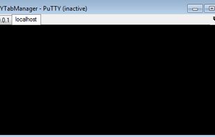 Putty Tab Manager screenshot 2