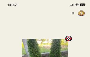 pxlize screenshot 2