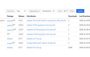 Track package downloads by server or API key