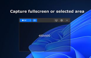 Peek Screen Recorder screenshot 1