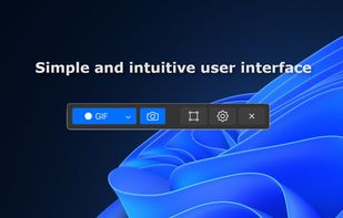 Peek Screen Recorder screenshot 2