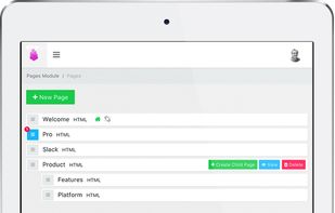 PyroCMS screenshot 2