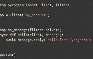 Pyrogram screenshot 1