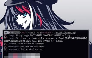 pywal16 screenshot 1