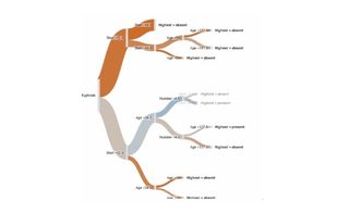 Q Research Software screenshot 2