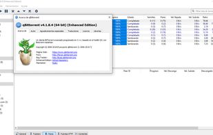 qBittorrent Enhanced Edition screenshot 1