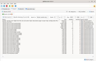 qBittorrent screenshot 3