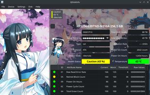 QDiskInfo screenshot 1