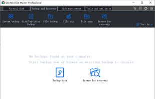 QILING Disk Master screenshot 1