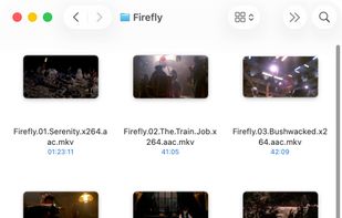 QuickLook Video screenshot 1