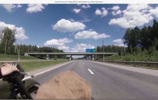 QLVideo screenshot 2