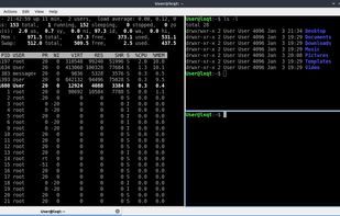 QTerminal screenshot 1