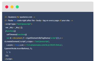 Qualaroo screenshot 2