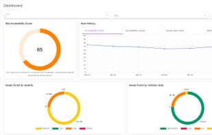 QualiBooth's real-time dashboards offer accessibility insights, showcasing issue severity and violation levels to facilitate compliance and strategic planning