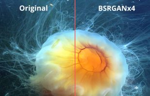 QualityScaler screenshot 2