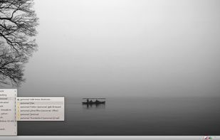 Qubes OS screenshot 1