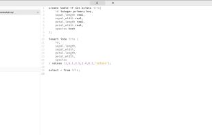 Queries screenshot 1