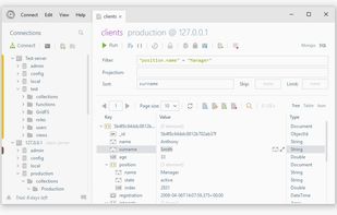 QueryAssist for MongoDB screenshot 2