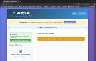 Query interface: Load your files, ask questions, export.