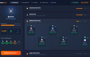 QueryCase screenshot 1