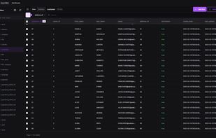 Data Browser — browse and edit table data with inline editing, sorting, pagination and quick search. Dark mode.
