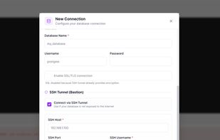 Connection Dialog with built-in SSH Tunnel — connect to remote databases without terminal commands. Paste your private key, QueryGlow handles the rest.
