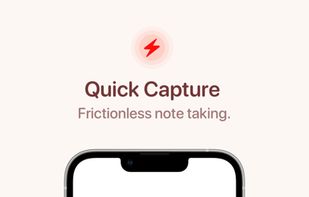 Quick Capture screenshot 1