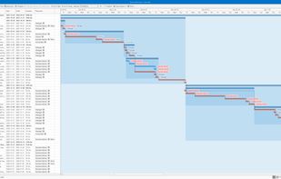 Gantt View