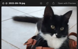 Quick Look Fix screenshot 1