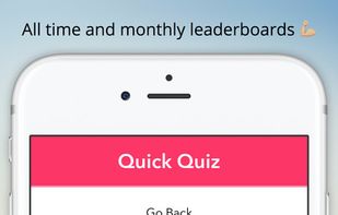 Quick Quiz screenshot 2