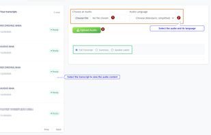 Audio Transcript UI