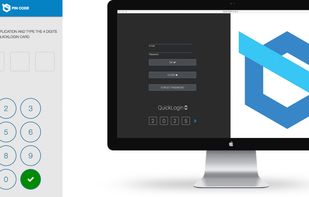 Login using the temporary pin