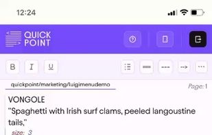 Shows QuickPoint’s minimal, text-based editor where users type directly to create slides. The clean interface keeps the focus on writing, with no clutter or drag-and-drop tools—just a seamless way to turn ideas into presentations instantly.